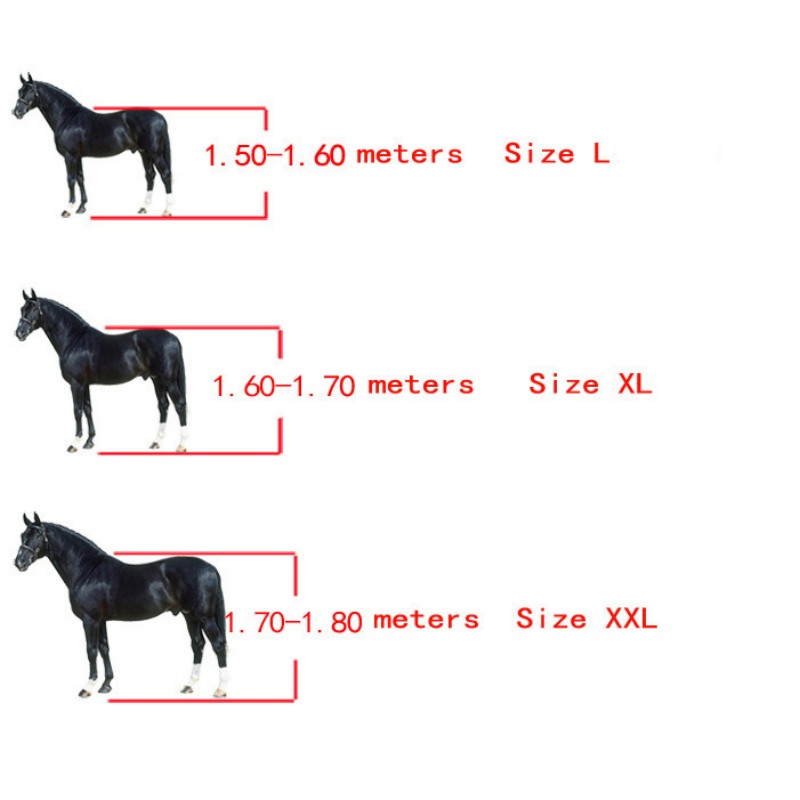 Stivali per Cavalli con Apertu - Lunge Line Horse recensione e prezzo
