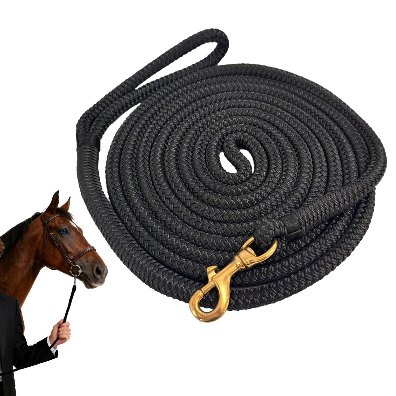 Corda da Lunge per Cavalli ad  - Lunge Line Horse recensione e prezzo